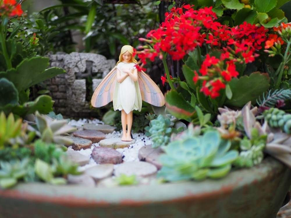 小さな庭の画像 by kokoさん | 小さな庭と多肉植物とキュンキュン乙女倶楽部と寄せ植えと寄植えとフェアリーガーデンと多肉寄せ植え