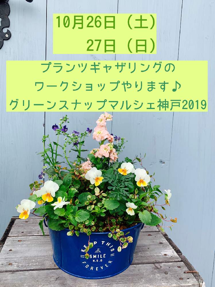 お出かけ先の画像 by Plants Cafe コハルビヨリさん | お出かけ先とギャザリングと花のある暮らしとGreenSnapMarche神戸2019とプランツギャザリング