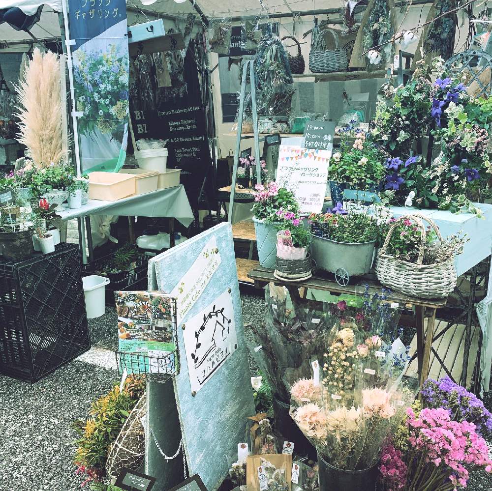 小さな庭の画像 by Plants Cafe コハルビヨリさん | 小さな庭とドライフラワーと花のある暮らしとプランツギャザリングとGreenSnapMarche神戸2019