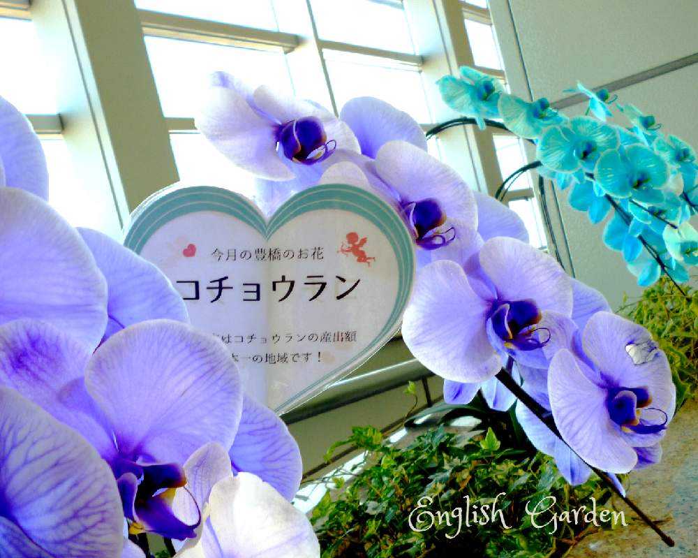 お出かけ先の画像 by イングリッシュガーデンさん | お出かけ先とLUMIX DMC-S1とGS映えと綺麗なお花と豊橋駅と花のある暮らしと色合いがキレイとEGお出かけ先