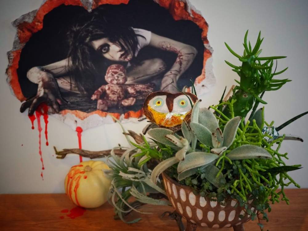 部屋の画像 by kokoさん | 部屋とハロウィンと多肉植物とサボテンと地獄より愛をこめてとしあわせを呼ぶフクロウ祭りと地獄の底からとフクロウ祭と地獄のハロウィン
