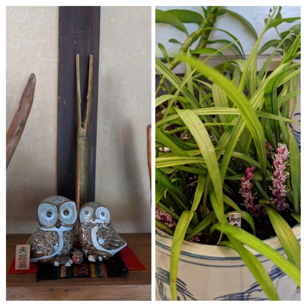 玄関の画像 by ごろごろさん | 玄関と幸せを呼ぶフクロウ祭りと我輩は苔であると花のある暮らしと里山暮らしと里山のある暮らしとフクロウ祭