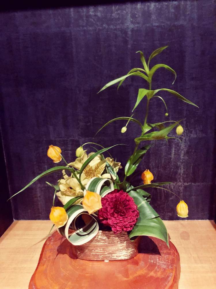 の画像 by えりりんさん | アルストロメリアとサンダーソニアとマムといけこみと切花と植物オタクと癒しとGS映えと季節の花ときれいと植中毒と花屋とフラワーアレンジメントとカワイイ葉っぱと花のある暮らしとかわいいと花は癒やし♡とチーム福岡とやっぱり花が好き♡と切り花
