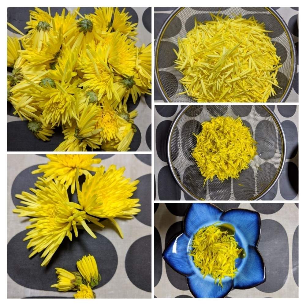 キッチンの画像 by ごろごろさん | キッチンと苔野ミレのちゃっちゃっとキッチンと我輩は苔であると花のある暮らしと里山暮らしと家庭菜園奮闘日記と里山のある暮らし