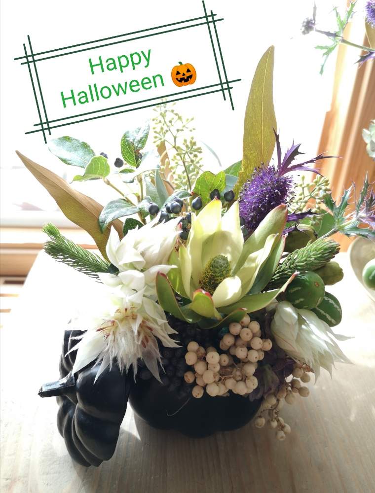 窓辺の画像 by takako *さん | 窓辺と花のある暮らしとハロウィーンとカボチャディスプレイとハロウィンアレンジ♪2019