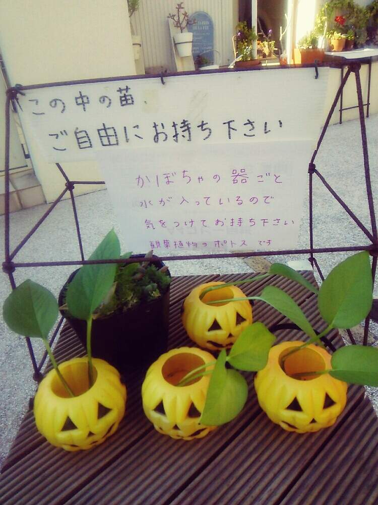 玄関の画像 by ヒカリさん | 玄関とご自由にどうぞと ポトスとハッピーハロウィン