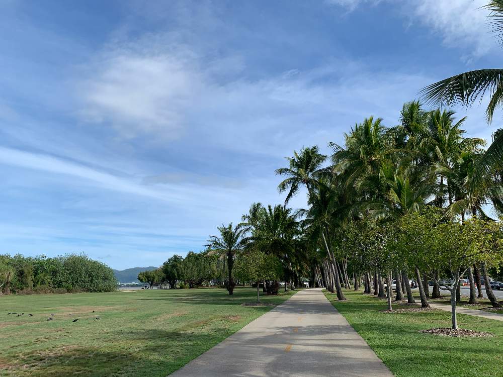 の画像 by Mimiさん | ヤシの木と公園とAustraliaとphotogenicとCairns