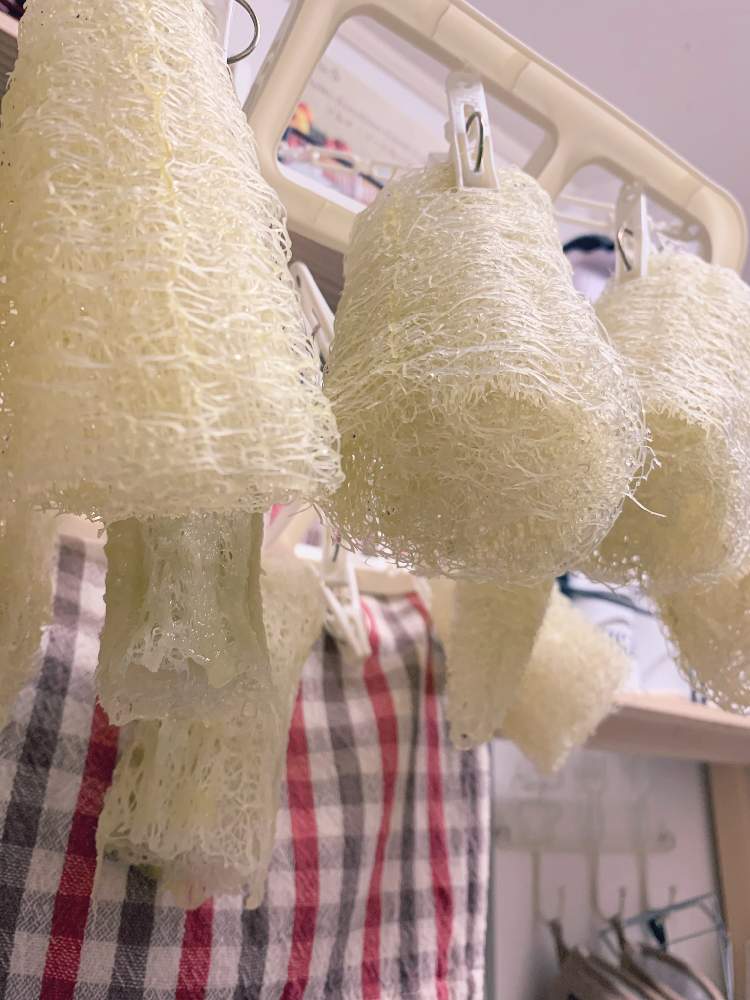 キッチンの画像 by さくらンボーさん | キッチンとヘチマと花のある暮らしとヘチマたわしとへちま!
