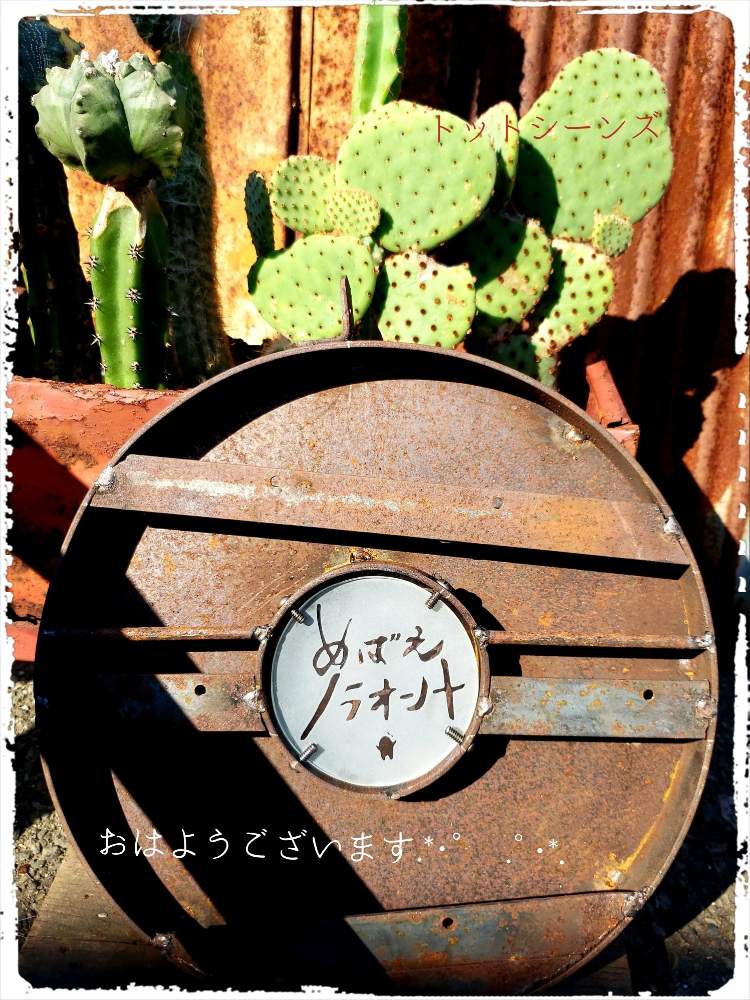 小さな庭の画像 by tot-ziens!(トット・シーンズ)さん | 小さな庭とありがとう♡とおはようと工場のおじいさんシリーズとおきにいりとトットジーンズと工場からの風景と花のある暮らし