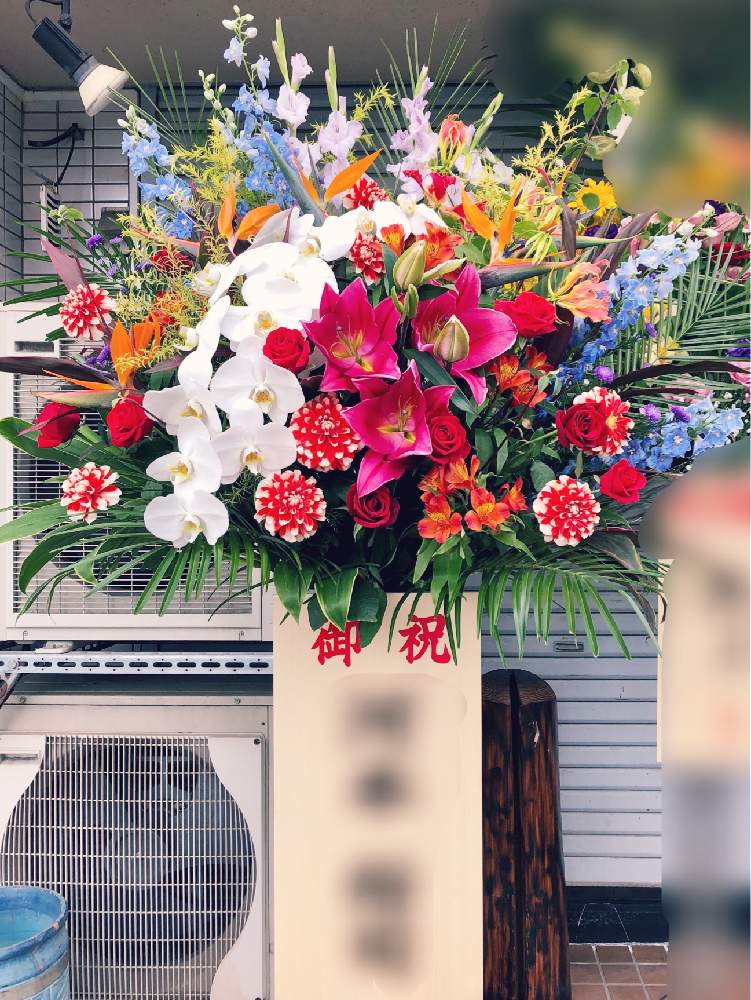 の画像 by えりりんさん | スタンド花と切花とGS映えと季節の花ときれいと花屋と花のある暮らしと花は癒やし♡とチーム福岡とやっぱり花が好き♡と切り花
