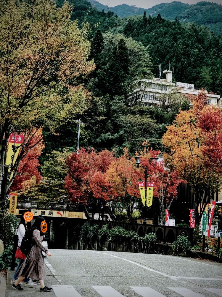 お出かけ先の画像 by チャーさん | お出かけ先とケヤキとチャーさんのリポートと野草と山野草と秋を感じると季節の 便りと秋の姿とチャーさんの 里山歩きと里山歩きと秋色と下呂温泉