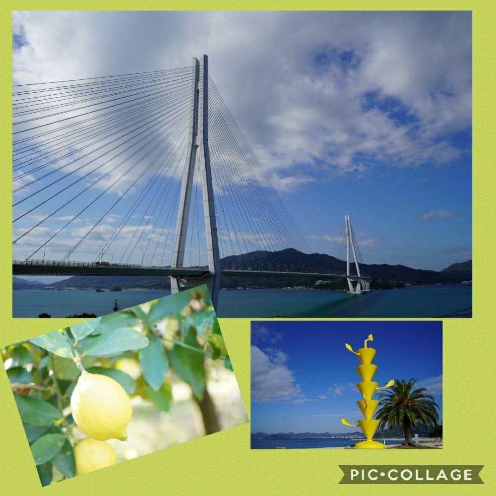 お出かけ先の画像 by おりーぶさん | お出かけ先とレモンとヒヤミカチ日本!とヒヤミカチ首里城!とひやみかち日本!とひやみかち首里城!とGSミニモニ。と黄色いお花大好き協会と葉っぱ好きと広島県とGS植物うちなーぐち会