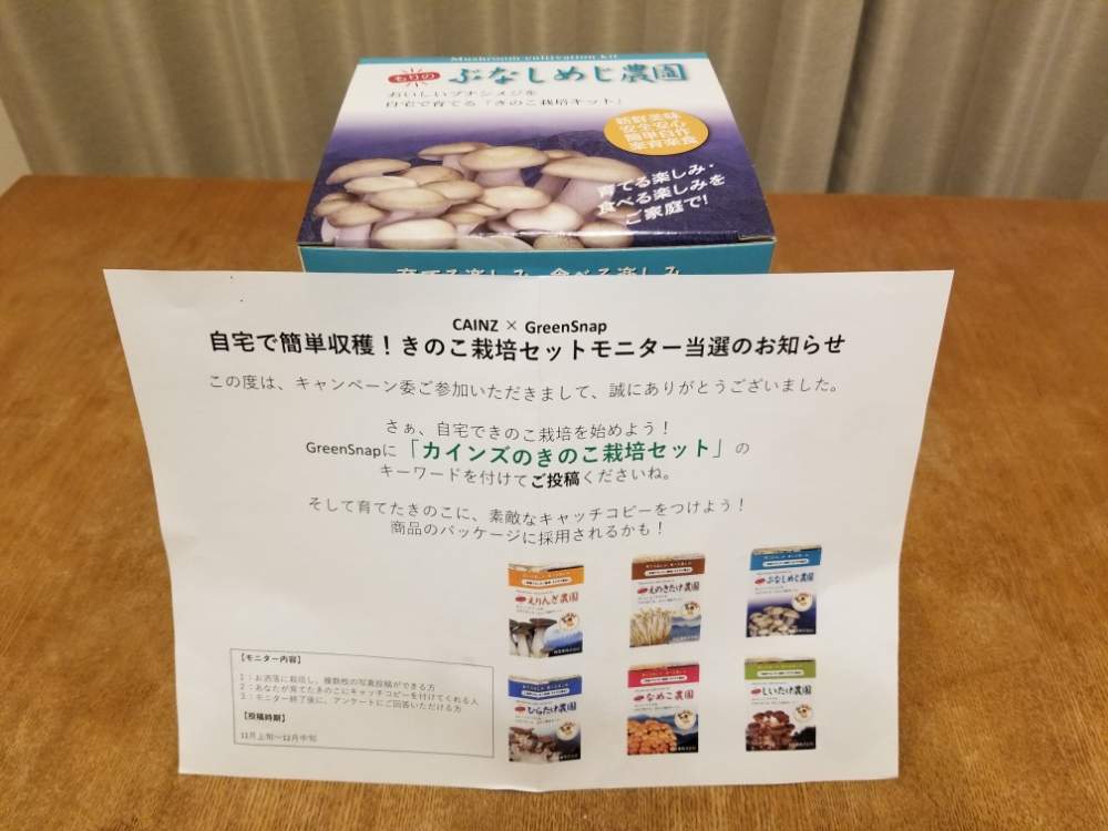 部屋の画像 by 種からパッションフルーツさん | 部屋とぶなしめじとカインズのきのこ栽培セット