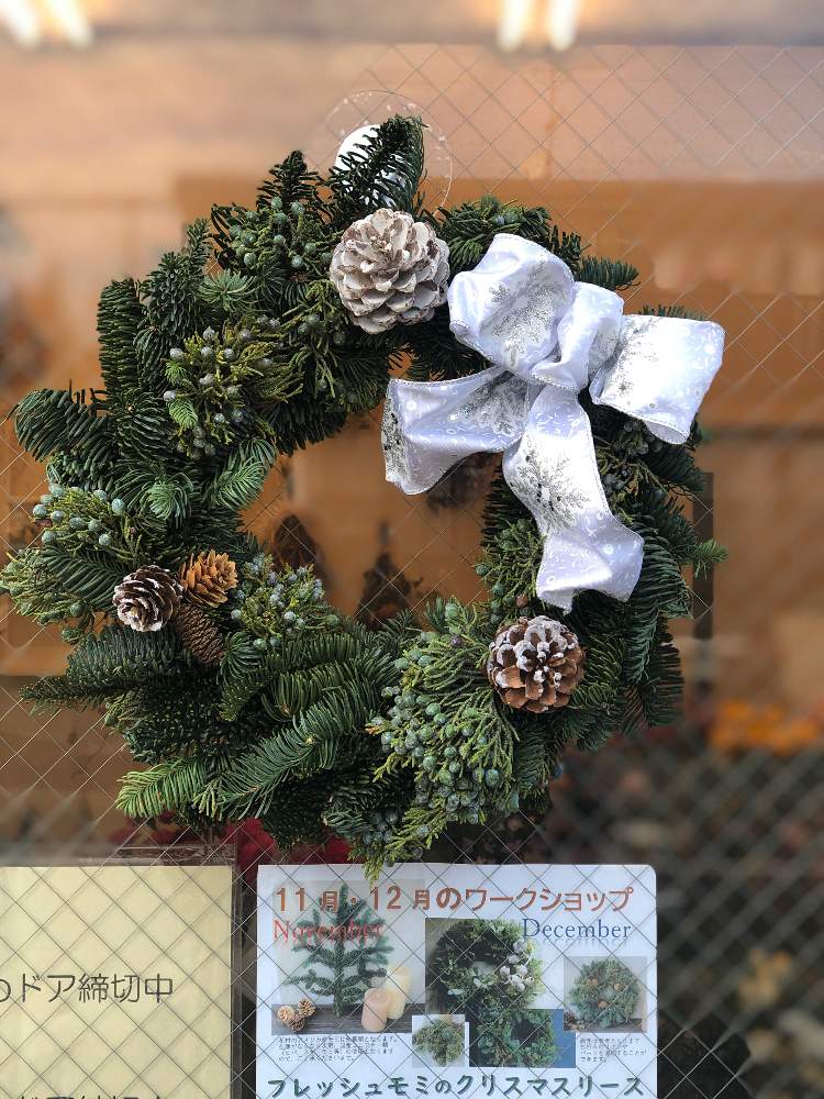 の画像 by sobana.さん | フラワーショップとドライフラワーとネズ枝と生モミの木とフレッシュクリスマスリースとナチュラルと花屋とフラワーアレンジメントと花のある暮らしとジュニパーベリー.とクリスマスリースとお花屋さんとクリスマスとシンプルと花は癒やし♡とシンプルリース
