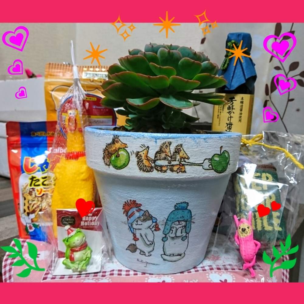 部屋の画像 by のりっぺさん | 部屋とエケベリア 七福神さまと素敵な贈り物♥️と朝晩…寒っ (((^^;)とも〰️秋かしら❤️とharu.kさんの七福神さま♥️とタニラーと花のある暮らしと多肉ちゃん初心者と楽しい園芸o(^o^)oとバルコニスト