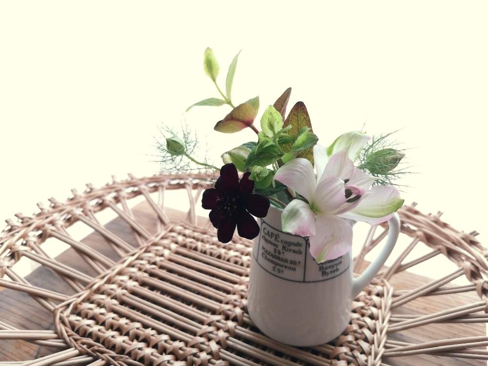 部屋の画像 by takako *さん | 部屋とアルストロメリアとニゲラとヒペリカムとチョコレートコスモスとWEEKEND FLOWERと晩秋のリビングフラワーフォトコンテストと今日の花と花のある暮らしといやされると北海道