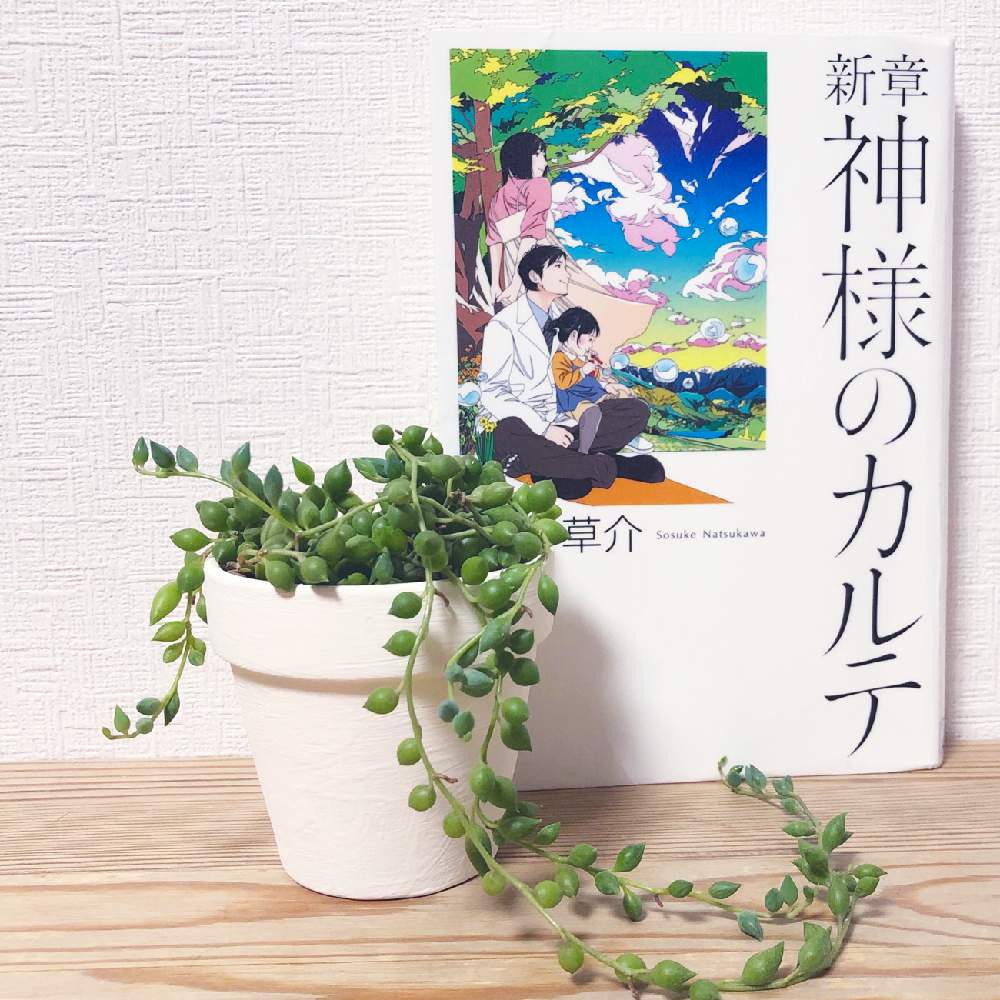 デスクの画像 by うみさん | デスクとグリーンネックレスと多肉植物とGS映えとGS日和と植中毒と緑のある暮らしと多肉女子とタニラーとどんどん増える