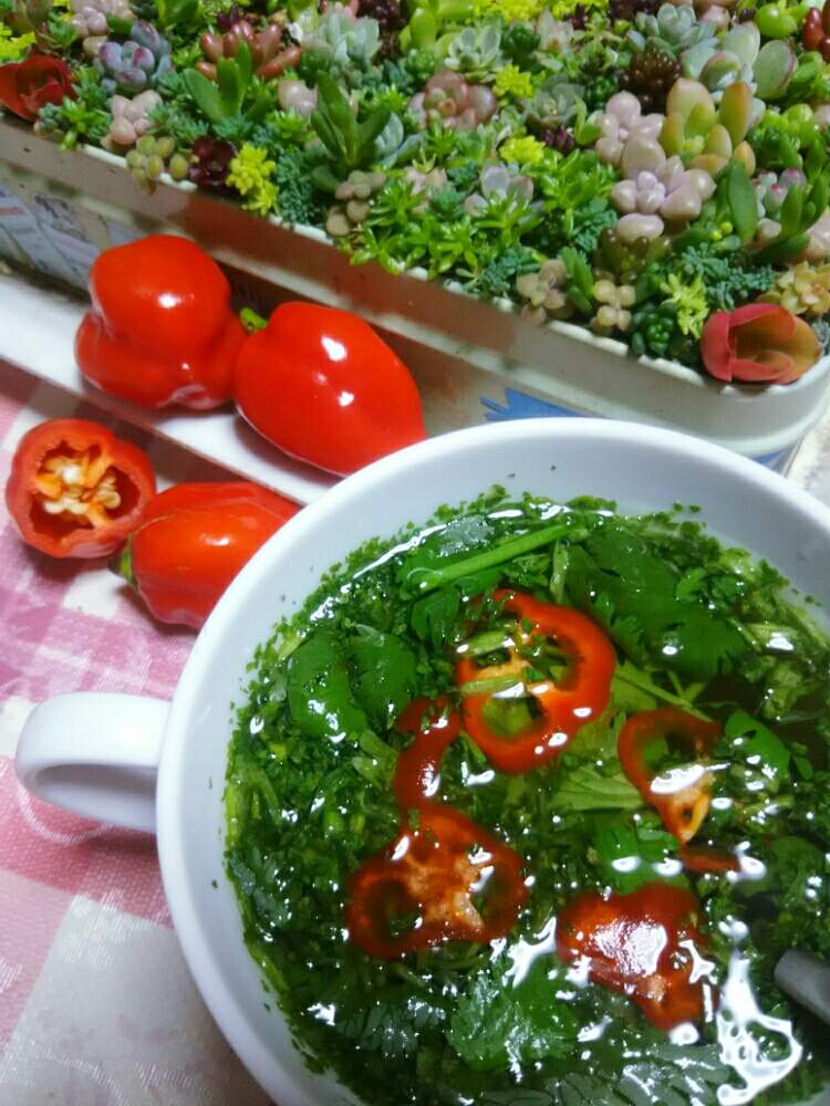 部屋の画像 by nanaさん | 部屋とパクチーとハバネロとひとてま込めてと多肉中毒と多肉植物とHTCと多肉大好きと寄せ植えと癒しと多肉植物のある暮らしと植中毒と今日の一枚と多肉女子と花のある暮らしとかわいいな♡と多肉寄せ植えとちまちま寄せ