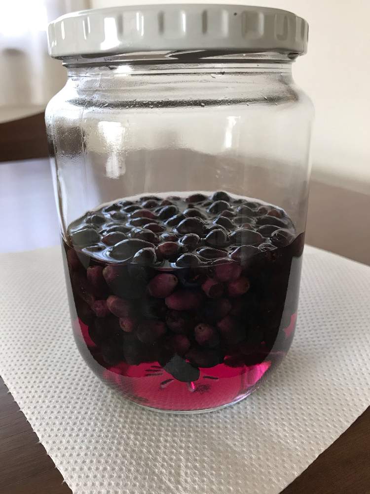 キッチンの画像 by バジルさん | キッチンと自家製果実酒とギンバイカ(マートル)と果実酒と果実酒 自家製と銀梅花の実と実りと秋の実と秋のみのり