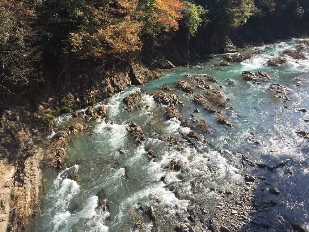 お出かけ先の画像 by 山に還るさん | お出かけ先と東京都と里地里山と絶景と紅葉(こうよう)と散策路と自然林と自然観察
