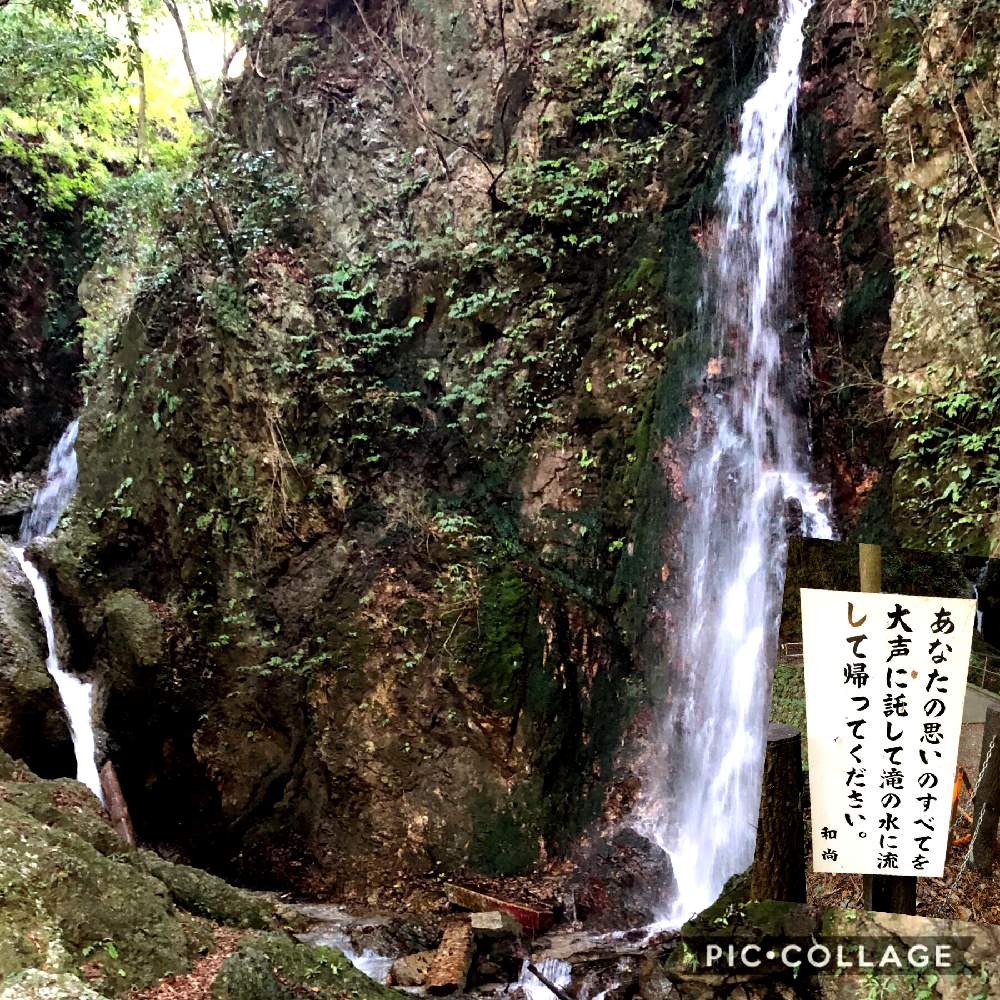 の画像 by 世津ちゃんさん | 聖宝寺と西藤原