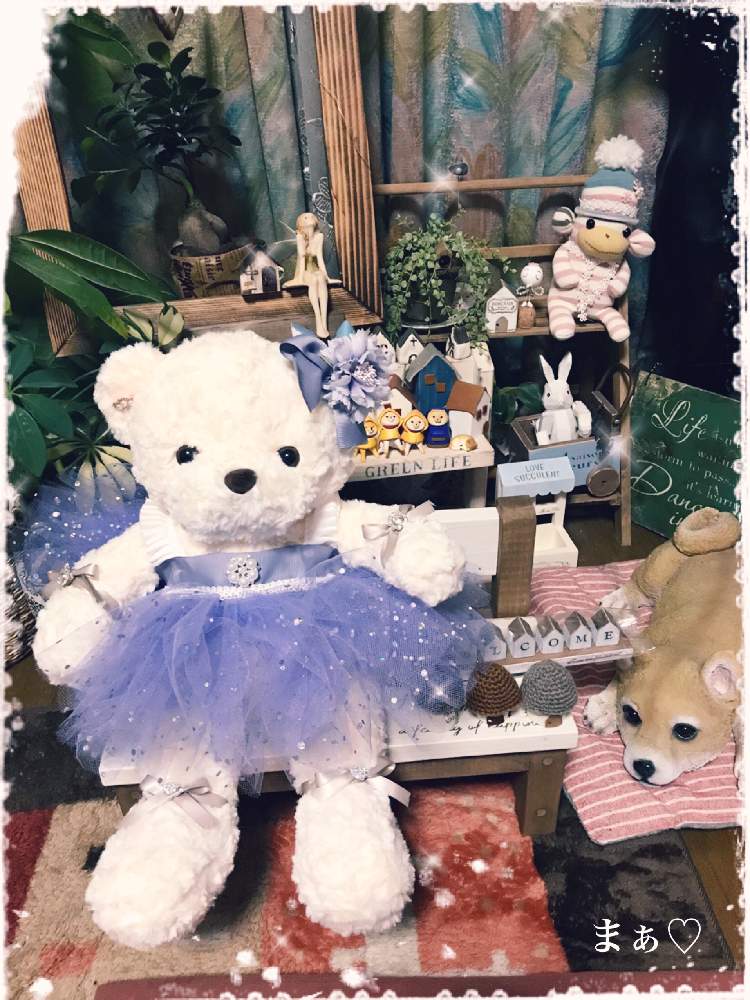 部屋の画像 by まぁ♡さん | 部屋と花のある暮らしと結婚記念日とメローネちゃん