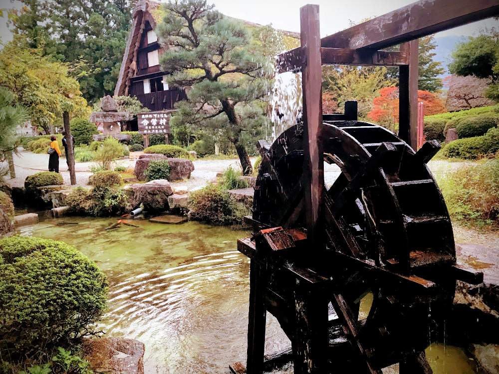お出かけ先の画像 by チャーさん | お出かけ先とチャーさんのリポートと野草と山野草と秋を感じると日本庭園と季節の 便りと秋の姿とチャーさんの 里山歩きと里山歩きと秋色と合掌造りと下呂温泉