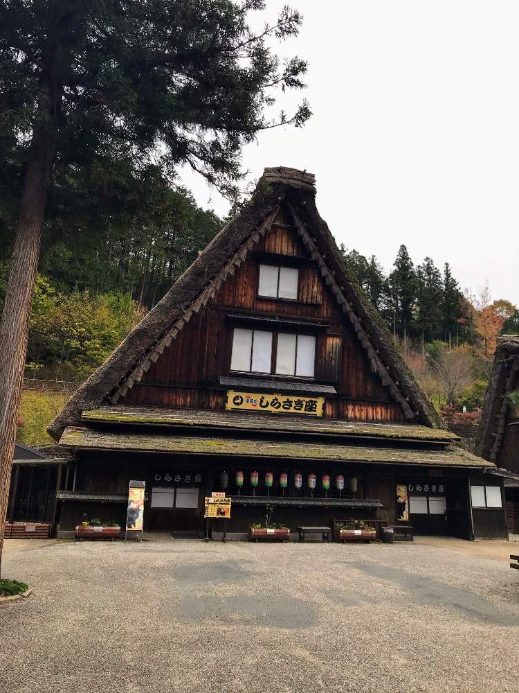 の画像 by チャーさん | チャーさんのリポートと山野草と秋を感じると季節の 便りと秋の姿とチャーさんの 里山歩きと里山歩きと秋色と合掌造りと下呂温泉