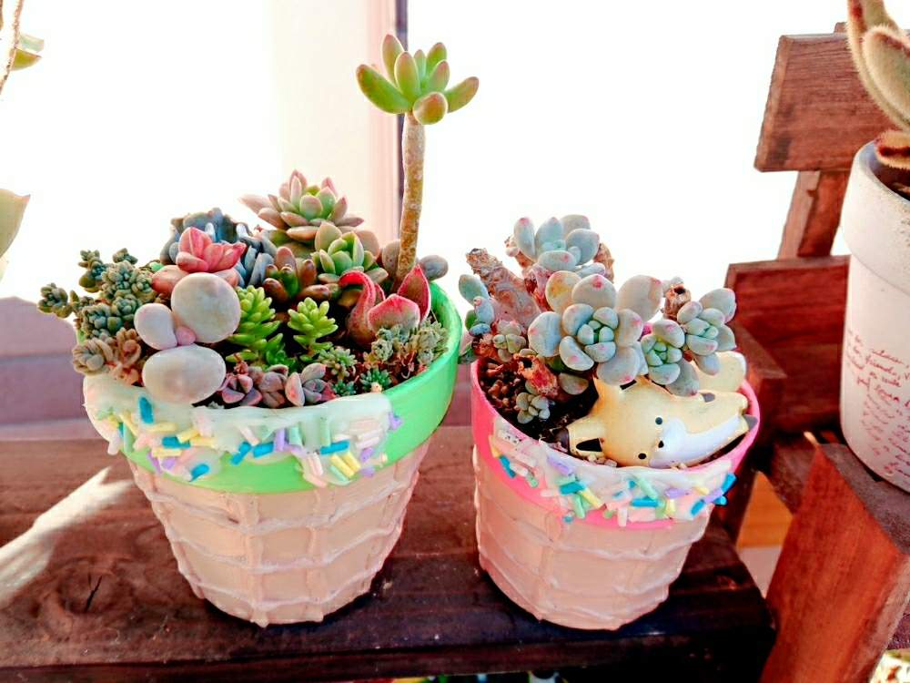 バルコニー/ベランダの画像 by くせ毛さん❁さん | バルコニー/ベランダと多肉植物と寄せ植えと紅葉する多肉と ロッティとリメ鉢と多肉女子と 八千代