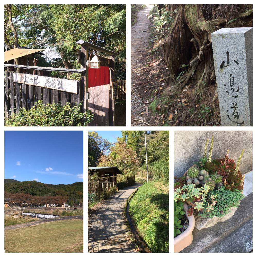 お出かけ先の画像 by みりんさん | お出かけ先と山の辺の道と京都タニラーとハイキングとno green no lifeと植中毒と多肉女子と信楽狸倶楽部と奈良と秋の山野草