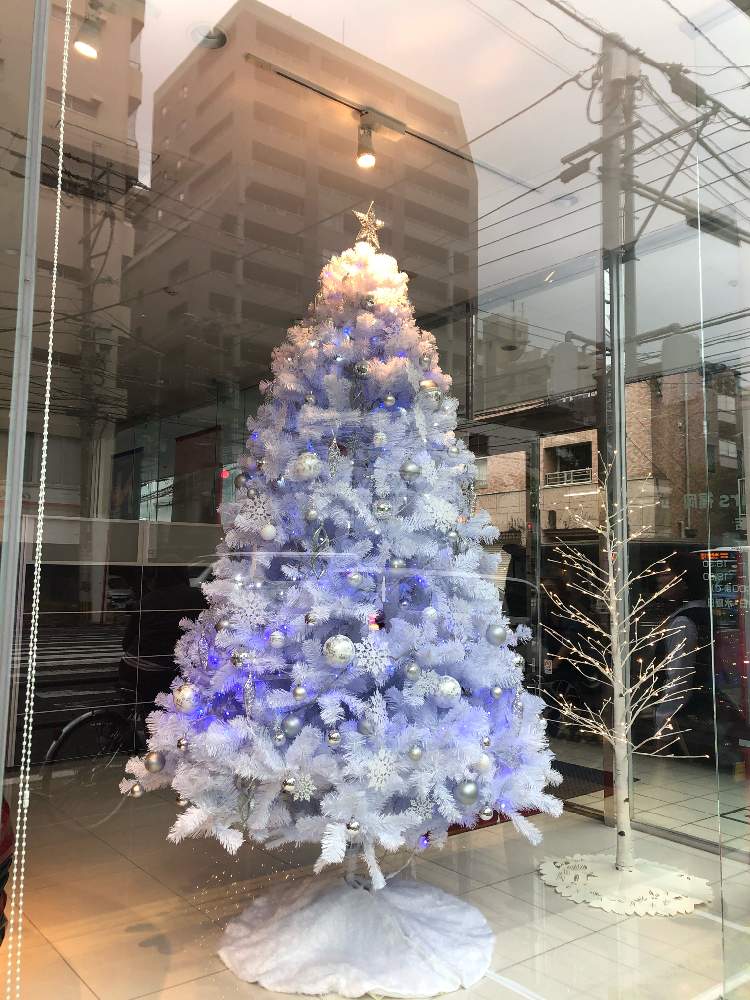 の画像 by えりりんさん | クリスマスツリーと癒しとGS映えときれいと花屋とかわいい