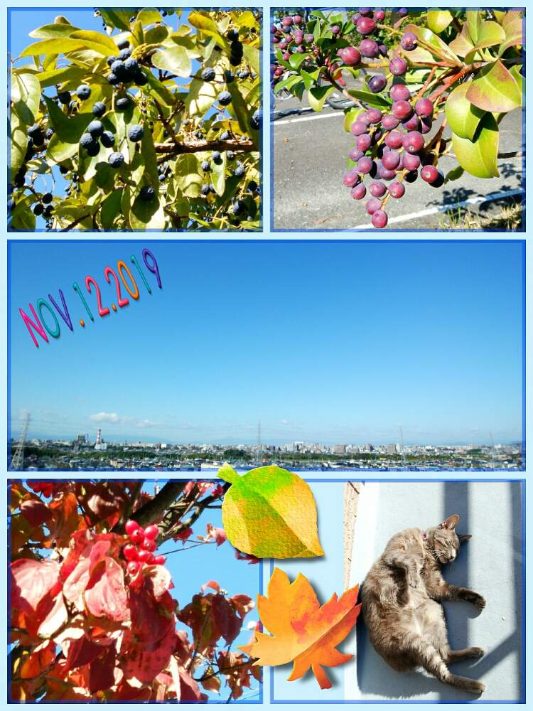 お出かけ先の画像 by ☆みなみ☆さん | お出かけ先と感動!と繋がりに感謝と日々の暮らしの中の幸せとたにおたくらぶ152と癒しをありがとうと秋色と発見と私の癒し系達♡と今日の見~つけた!とたにおたくらぶ