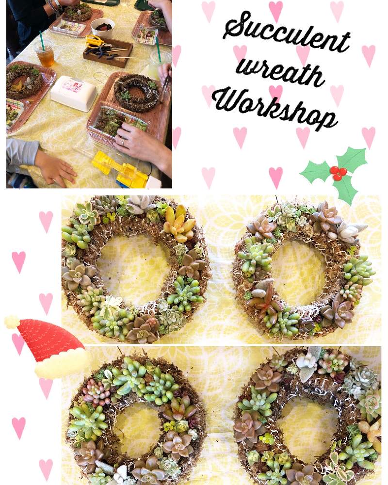 お出かけ先の画像 by Misakiさん | お出かけ先と多肉植物とSucculentgardenMisakiと多肉植物寄せ植え教室と千葉県と多肉大好きと多肉植物寄せ植えと多肉が癒しですと多肉ワークショップと多肉リース寄せと多肉女子と多肉植物アレンジメントインストラクターと千葉タニラーとワークショップ