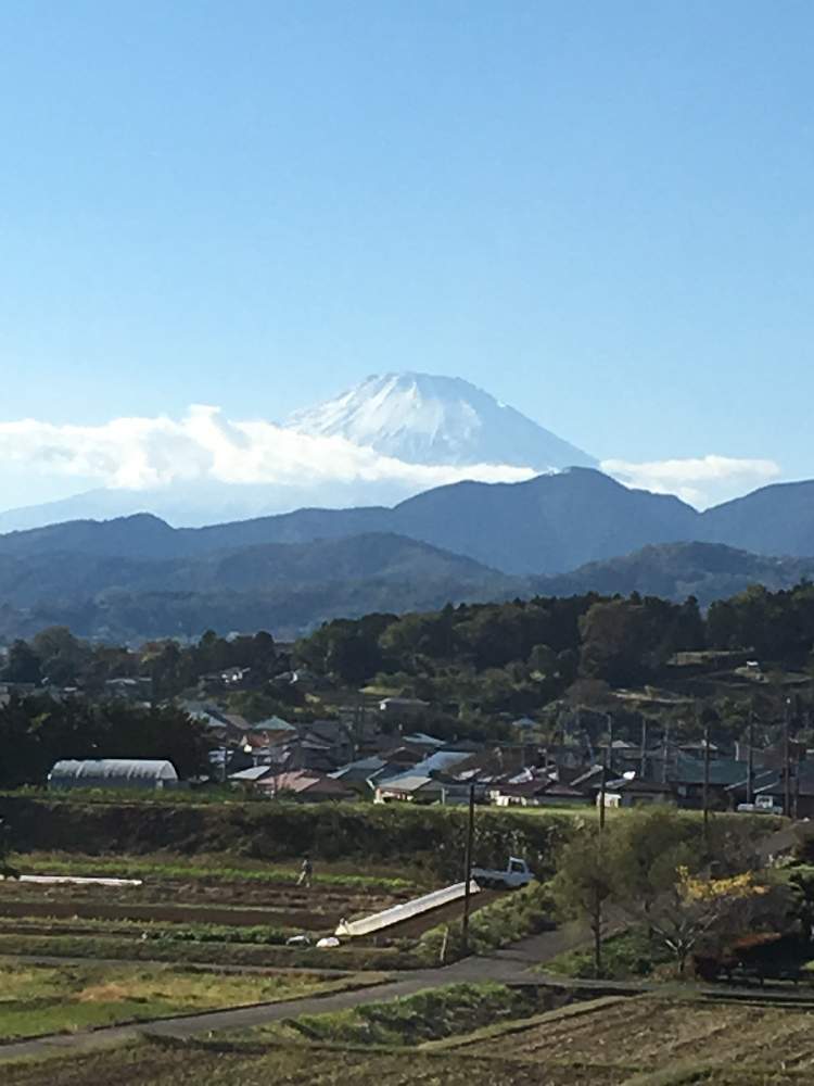 お出かけ先の画像 by たえポンさん | お出かけ先と田原ふるさと公園と田原ふるさと公園から見た富士山と花のある暮らしと今日の富士山♡と神奈川県の風景と美しい富士山