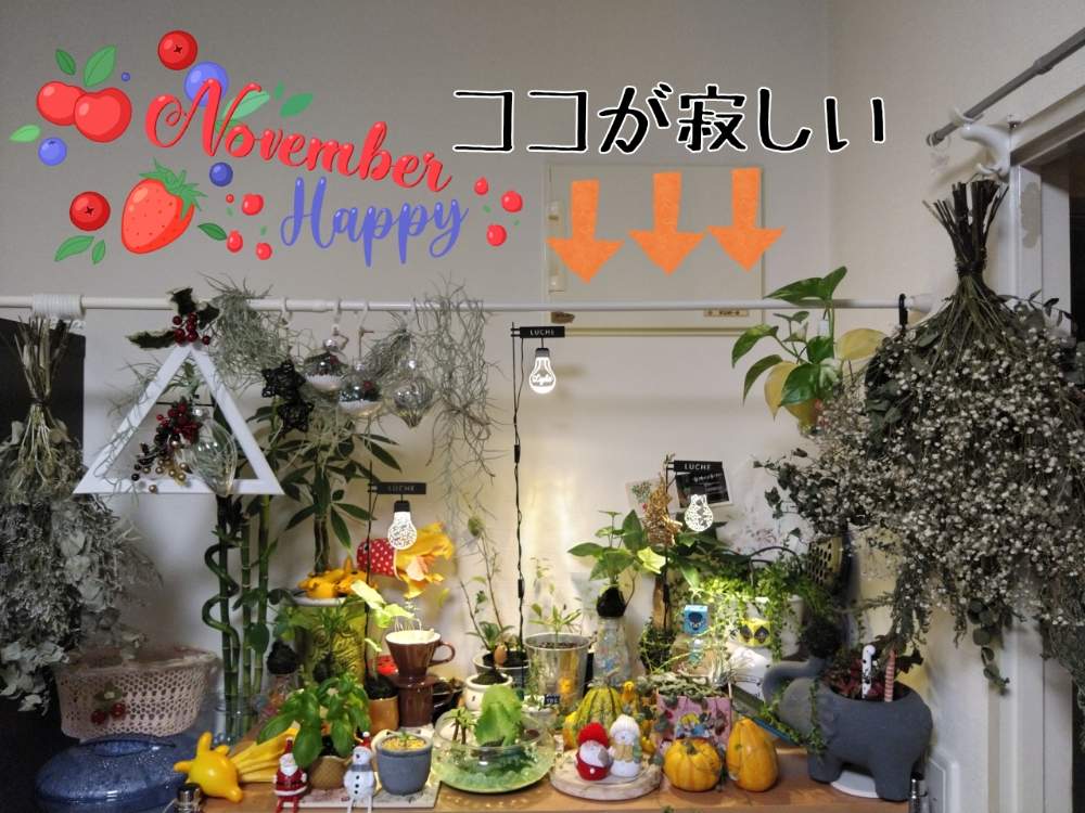 インテリアの画像 by MANDARA△IDさん | インテリアと植物で彩るお部屋とクリスマスとルーチェHSSCollect✨と*Seasonal decoration*と*Nightmare Before Christmas*と✡MANDARA△ID