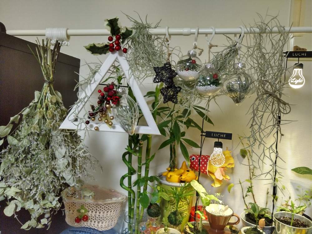 インテリアの画像 by MANDARA△IDさん | インテリアとルーチェHSSCollect✨と✡MANDARA△IDと*Seasonal decoration*と*Christmas decoration*と植物で彩るお部屋とクリスマス