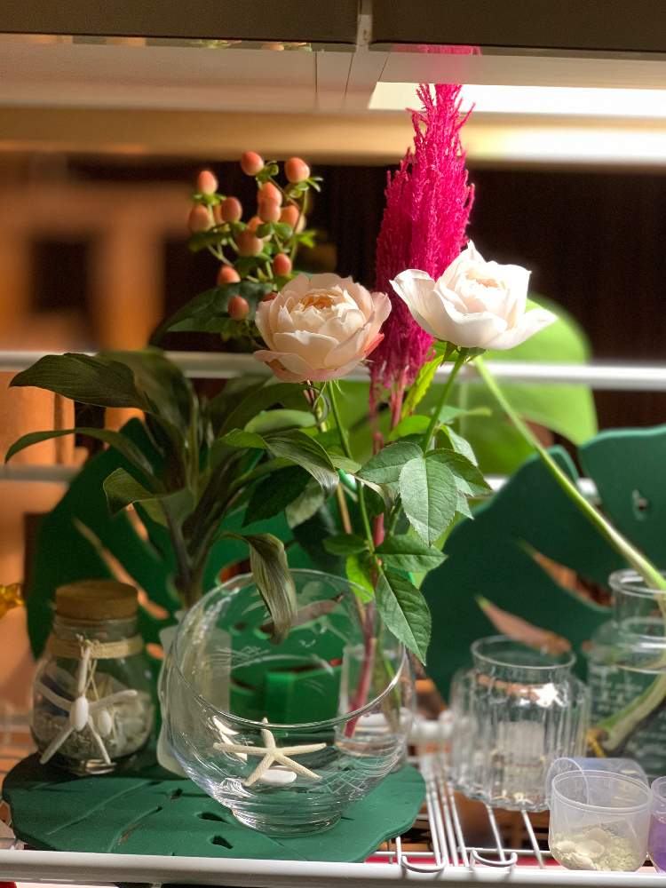 キッチンの画像 by Bogummyさん | キッチンとドラセナと薔薇 ユカカップとケイトウ センチュリーピンクと薔薇 シャンスポムとココヨーコと海外一人旅と斜め前には大好きなシャチと海の前の病院と海のある風景と花のある暮らしとGREEN UP!