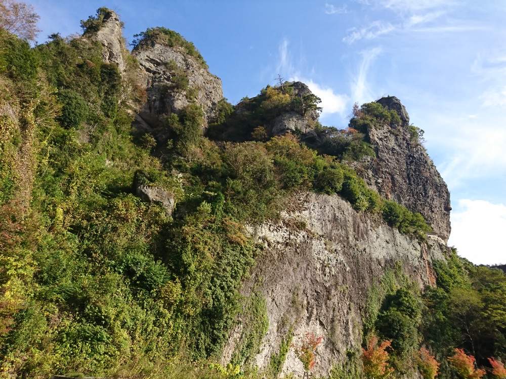 お出かけ先の画像 by レブンさん | お出かけ先とモミジと山歩きと里山大好き協会と山野草大好き協会とムクロジ科とカエデ属
