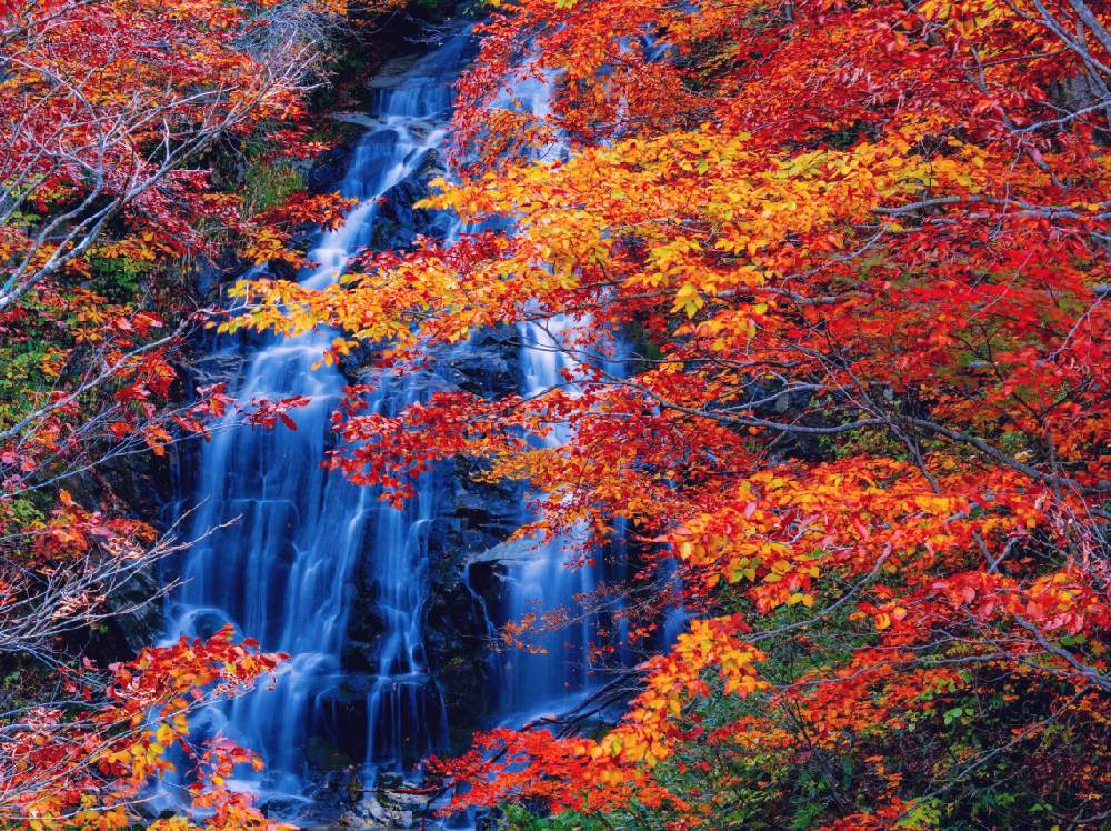 お出かけ先の画像 by zutchyさん | お出かけ先と裏磐梯と紅葉(こうよう)とGreenSnapmarcheと花のある暮らしとGREEN UP!
