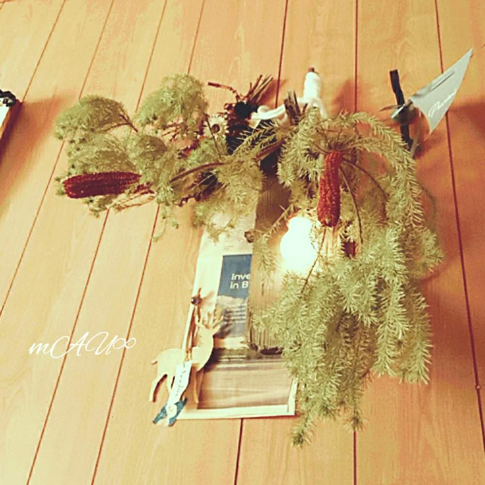 部屋の画像 by TAMARI→mAU∞さん | 部屋とドライフラワーいろいろとだいすきとうれしい♡とアンティーク風とスワッグとドライときれいと植中毒と暇でごめんと癒し空間と愛情たっぷり♡と花のある暮らしとかわいいな♡とチーム福岡