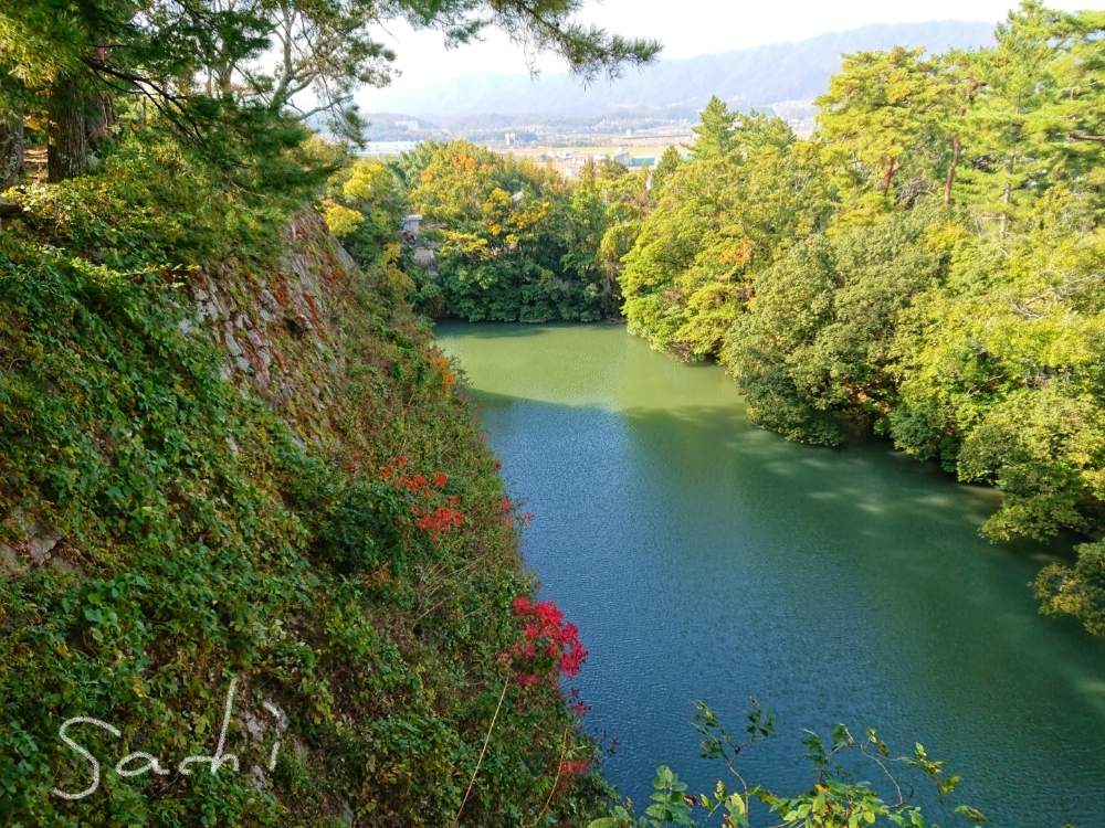 お出かけ先の画像 by sachiさん | お出かけ先と城跡と残したい風景と水のある風景と紅葉(こうよう)と今日の花便りと花のある暮らしとボタニカルスポット2019秋