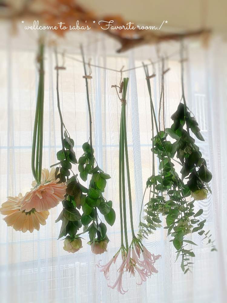 の画像 by さば*さん | アストランティアの花とリコリス♪と退職祝いとありがとう❤️と退職の花束とno green no lifeと引っ越しとバラと夢CLUBと退職記念と花のある暮らしとロザリアンと ガーベラ