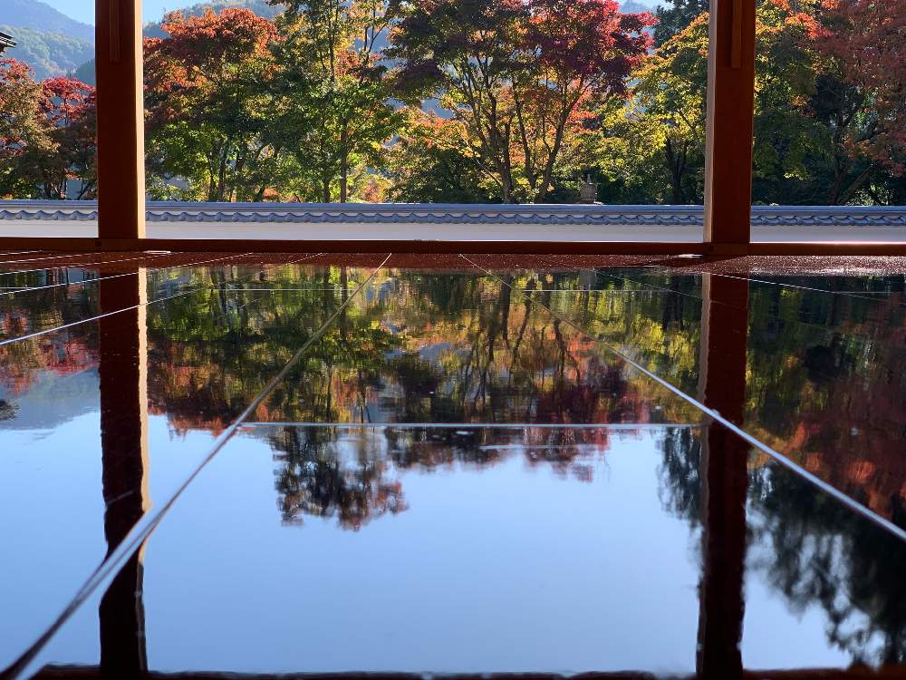 お出かけ先の画像 by ケン太さん | お出かけ先と✨✨✨と桐生 宝徳寺と秋の訪れと陽だまり☀️と秋の気配~✨✨✨と床紅葉(床もみじ)と花のある暮らしと秋の風景と色あざやか