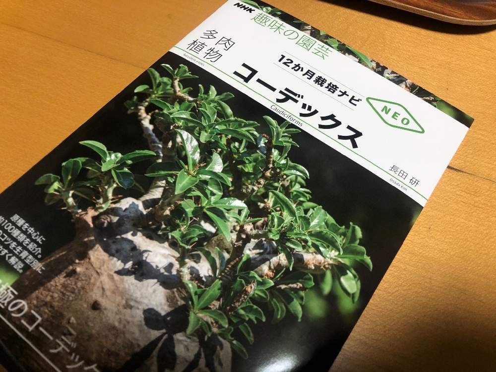 部屋の画像 by タケシ(・∀・)さん | 部屋と植物雑誌とコーデックスと植中毒と塊根植物とベランダーとビザールプランツ