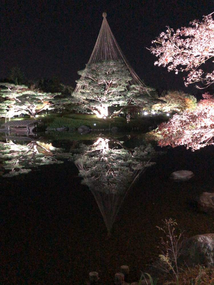 お出かけ先の画像 by まゆっちさん | お出かけ先と紅葉(こうよう)とがんばれ 千葉!!と国営昭和記念公園と紅葉ライトアップと日本庭園と頑張ろう千葉とがんばろう福島