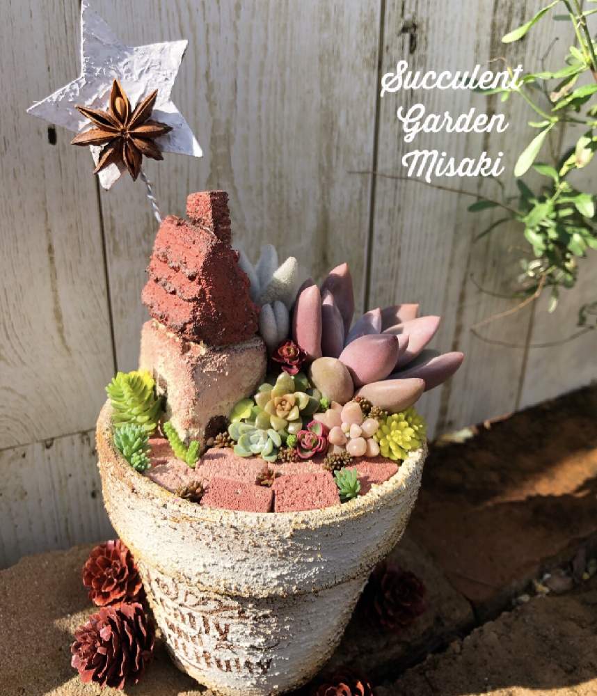 小さな庭の画像 by Misakiさん | 小さな庭と多肉植物とSucculentgardenMisakiと多肉植物寄せ植え教室と千葉県と多肉箱庭と多肉大好きと冬の寄せ植えフォトコンテストと多肉植物寄せ植えと多肉が癒しですと多肉ワークショップとクリスマスディスプレイと多肉女子と多肉植物アレンジメントインストラクターと千葉タニラーとワークショップ とクリスマスアレンジとクリスマス
