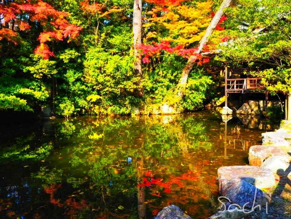 お出かけ先の画像 by sachiさん | お出かけ先ともみじと城跡と水のある風景と紅葉(こうよう)と今日の花便りと花のある暮らしとボタニカルスポット2019秋