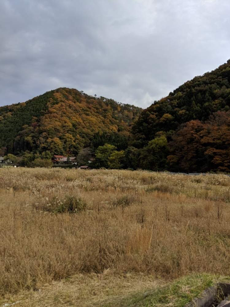 お出かけ先の画像 by ごろごろさん | お出かけ先とヒヤミカチ首里城!と里山大好き協会とひやみかち首里城!と我輩は苔であると里山暮らしと家庭菜園奮闘日記と台風被害が少ない様にと里山のある暮らし