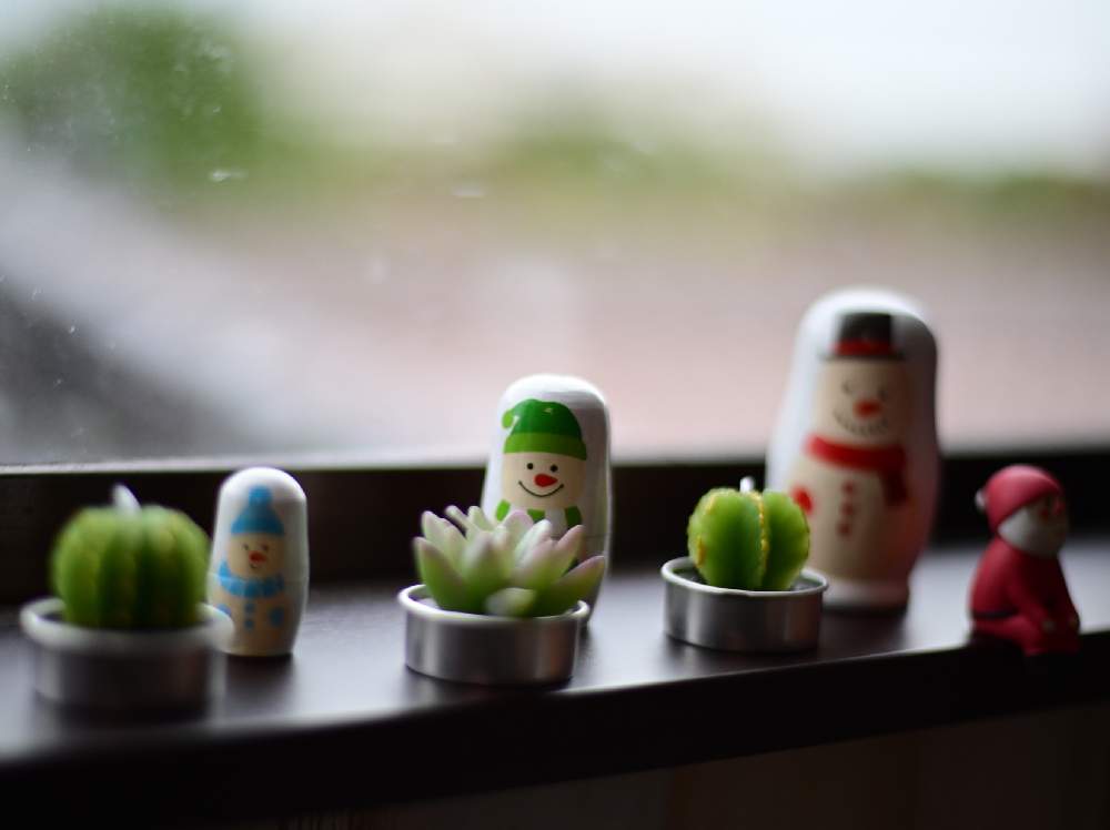 窓辺の画像 by ®️unjaさん | 窓辺と植物で彩るお部屋とクリスマスと多肉キャンドルと多肉のある暮らしと今日の一枚と緑のある暮らしと花のある暮らし