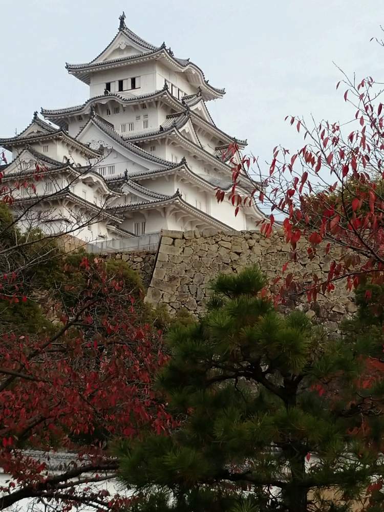 お出かけ先の画像 by うさぎさん | お出かけ先と花のある暮らしと癒し系と紅葉♪と姫路城